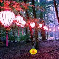 play Thanksgiving Lighting Forest Escape