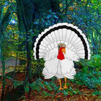 Beg White Turkey Forest Escape