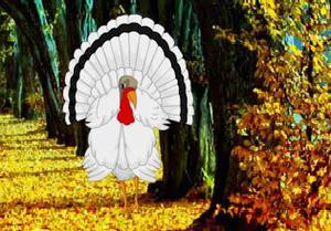 play White Turkey Forest Escape