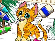 play Color Me Pets