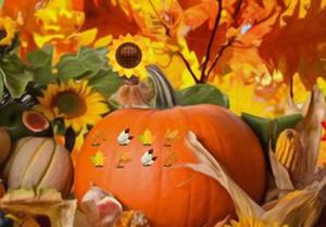 play Thanksgiving Pumpkin