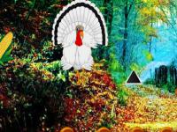 play White Turkey Forest Escape