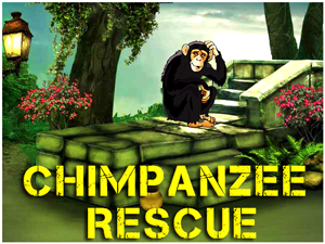 Chimpanzee-Monkey-Rescue