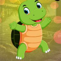 play Small Tortoise Escape