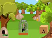play Woodpecker Escape