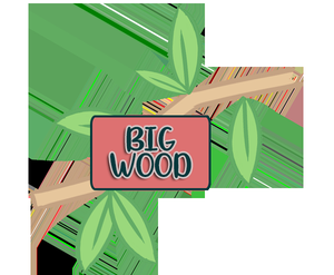 play Big Wood