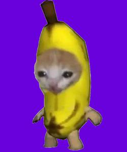 play Sad Cat Boyo