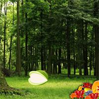 Nature Fruit Forest Escape
