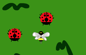 play Flight Of The Bee