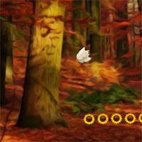 play Thanksgiving Forest Fun Escape