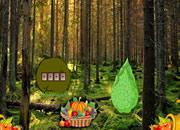 play Nature Fruit Forest Escape