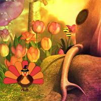 play Big Thanksgiving Turkey Fairy Escape