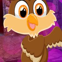 play G4K-Small-Owl-Escape