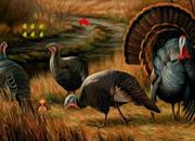 play Wanna Wild Turkey Escape