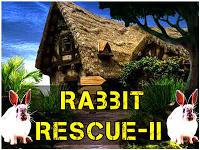 play Rabbit Rescue 2