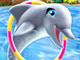 play My Dolphin Show