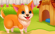 play Funny Rescue Pet