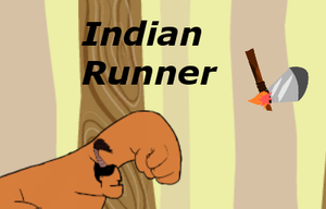 play Indianrunner