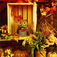 play Rustic Barn Turkey Escape