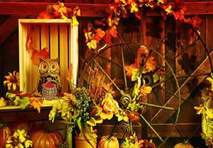 play Rustic Barn Turkey Escape