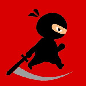 play Mr Ninja Fighter