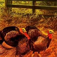 play Thanksgiving-Farm-Hidden-Corn
