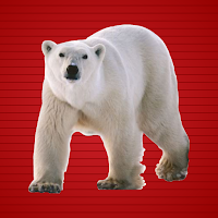 play G2J Cute Polar Bear Rescue