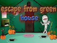 play Top10 Escape From Green House