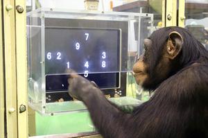 play Ayumu Memory Game