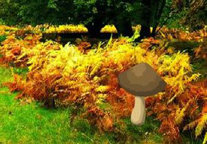 play Thanksgiving Lawn Forest Escape