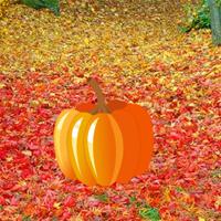 play Thanksgiving-Lawn-Forest-Escape