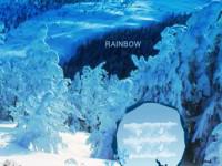 play Snow Flake Fall Forest Escape