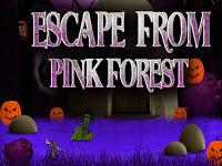 play Top10 Escape From Pink Forest