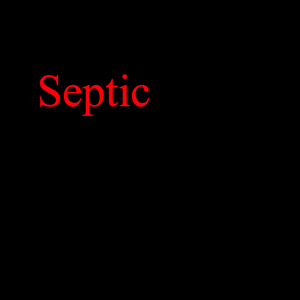 Septic