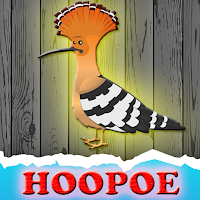 play G2J The Hoopoe Rescue