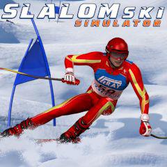 play Slalom Ski Simulator