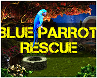 Blue Parrot Rescue