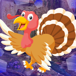 Elated Turkey Escape