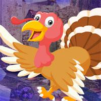 Elated Turkey Escape