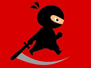 play Mr Ninja Fighter