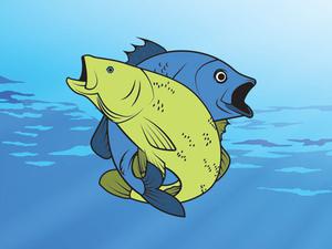 play Friendly Fish Coloring