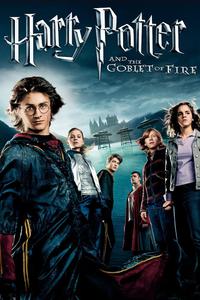 The Triwizard Tournament: Your Own Wizarding Journey