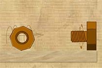 play Screw The Nut