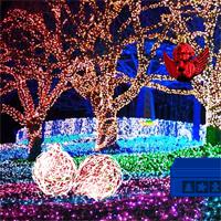 play Christmas-Light-Park-Escape