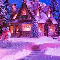 Hog Night Christmas Hidden Snowman
