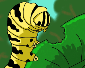Caterpillar'S Micro Adventure