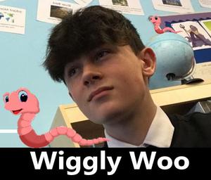 Wiggly Woo