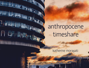 play Anthropocene Timeshare