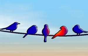 play Birdies Room Escape