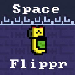 play Space Flippr